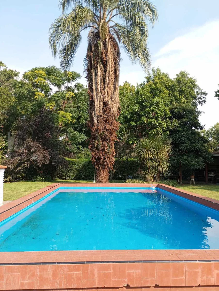 VENTA CASA QUINTA MULTIFAMILIAR 1700m2 YEI PORA foto 3