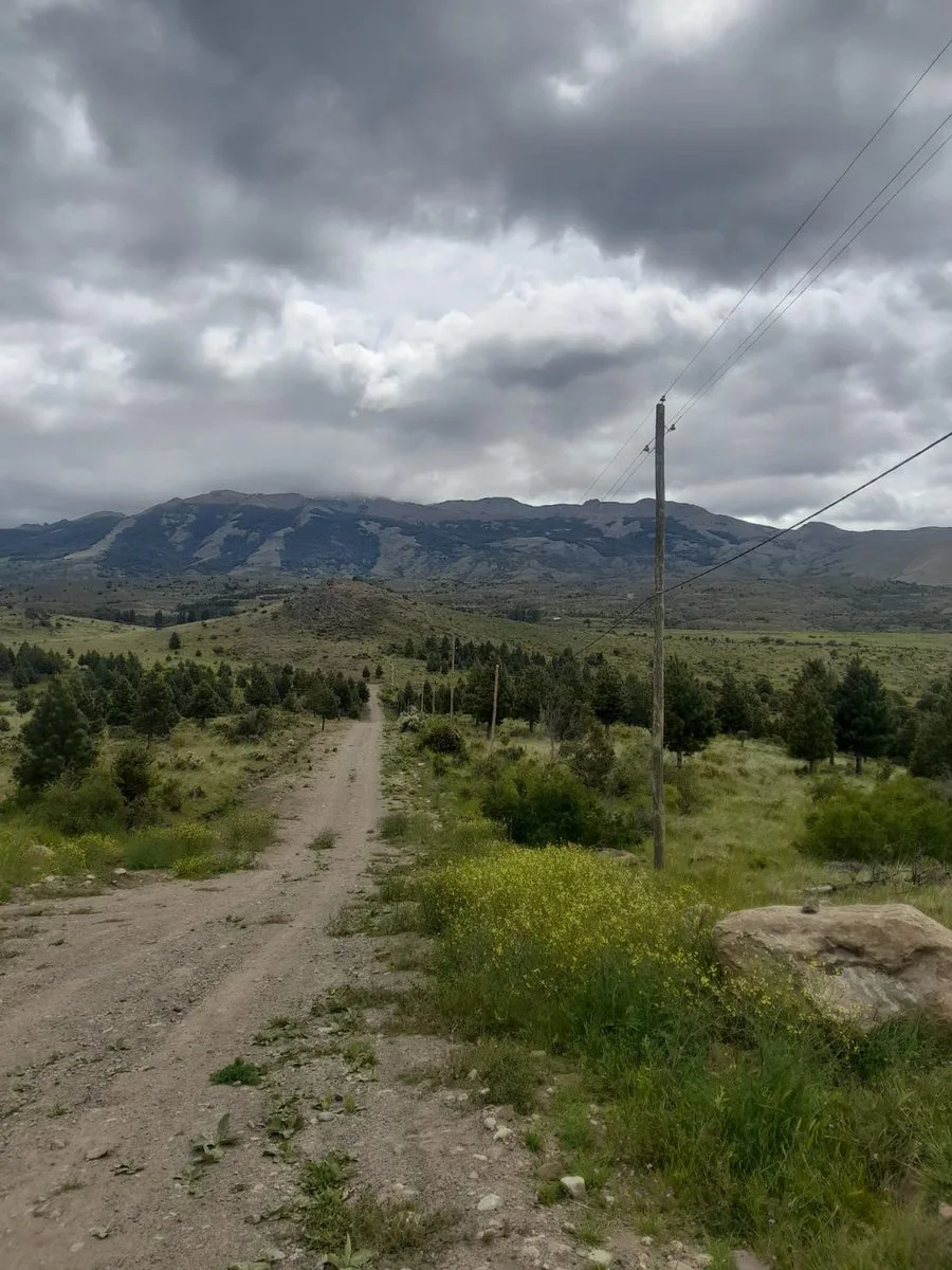 TERRENO EN TREVELIN UNA HA. EN LEGUA 7 foto 2