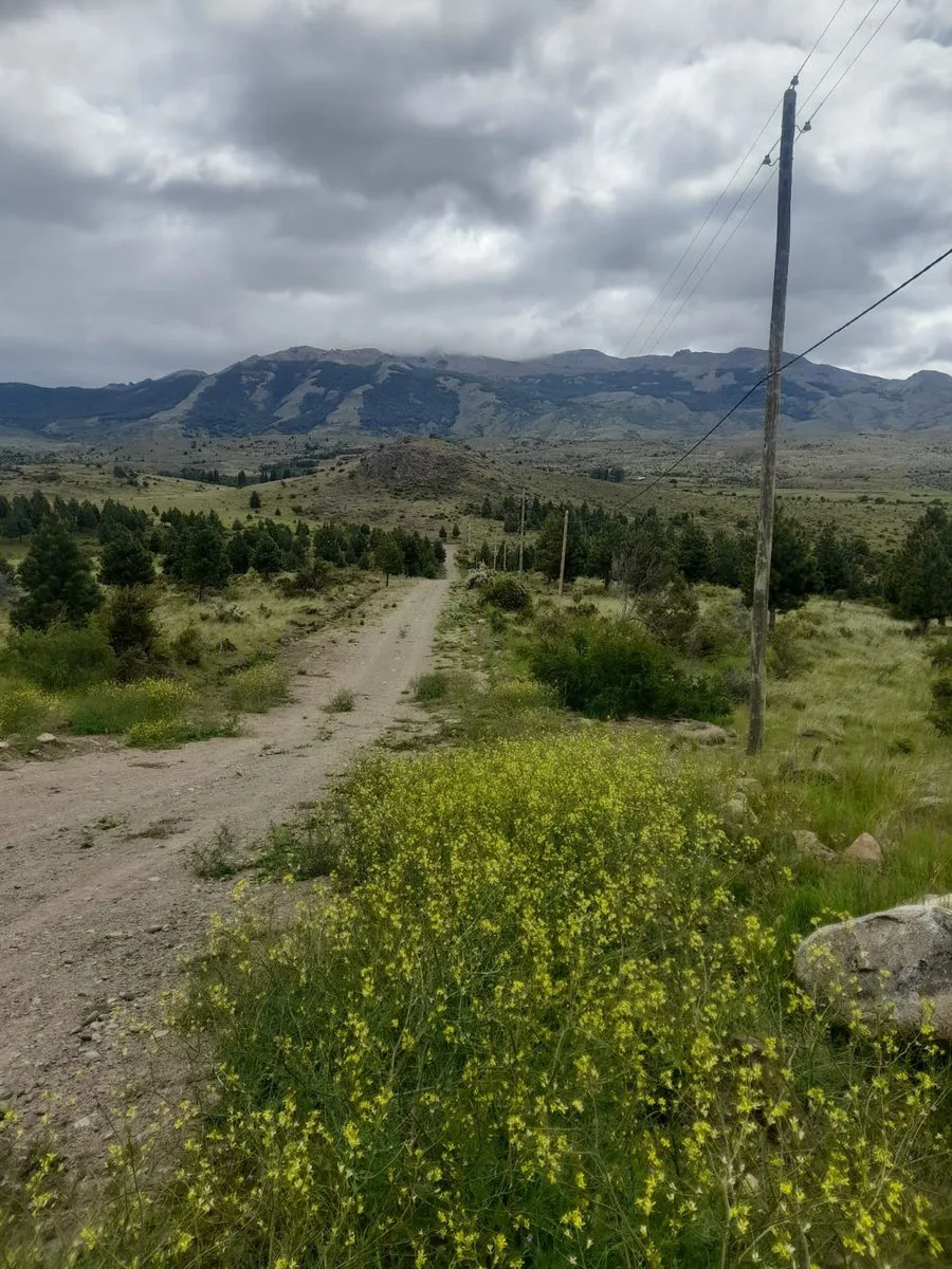 TERRENO EN TREVELIN UNA HA. EN LEGUA 7 foto 3
