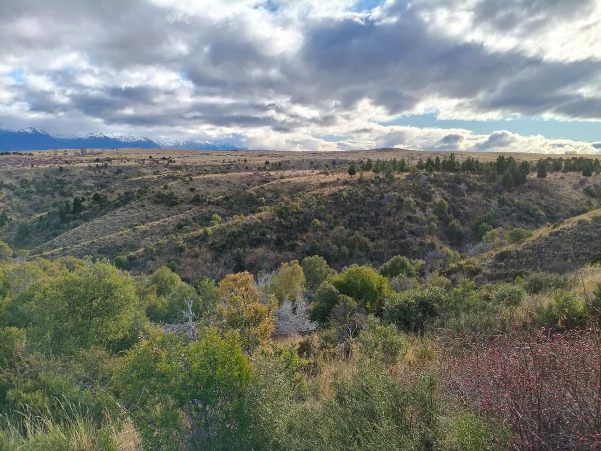 TERRENO EN TREVELIN UNA HA. EN LEGUA 7 foto 5