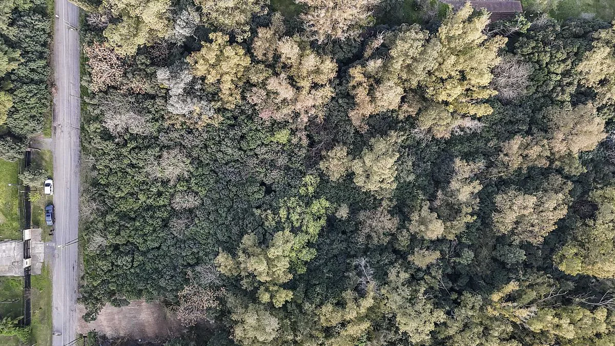 Los Cardales, B. Monteverde . foto 3