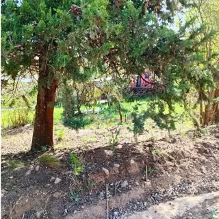 TERRENO EN VENTA EN UNION DE LOS RÍOS ALPA CORRAL foto 2