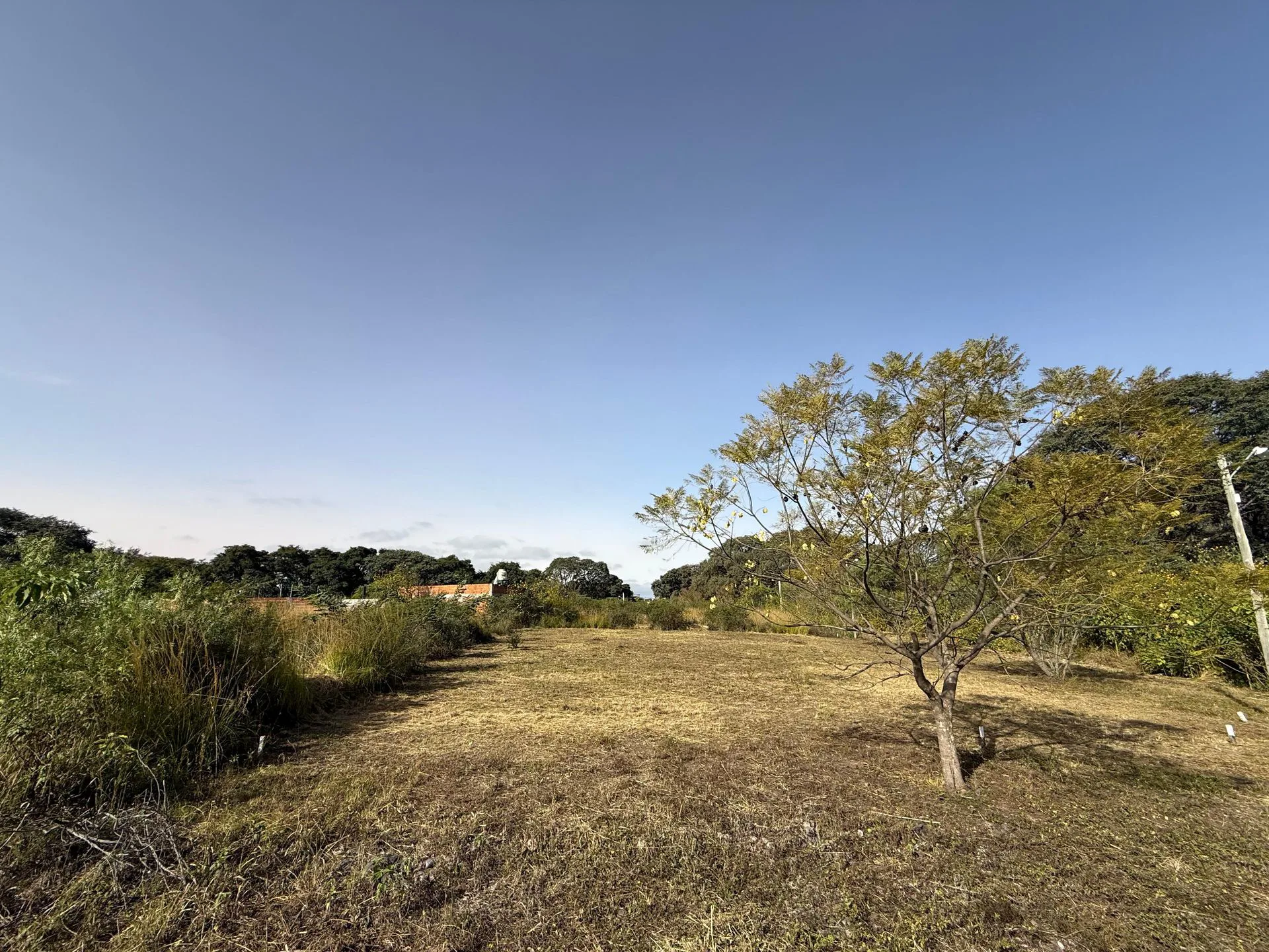 VENTA TERRENO 338,73m2 B° NUEVO ALISOS foto 2