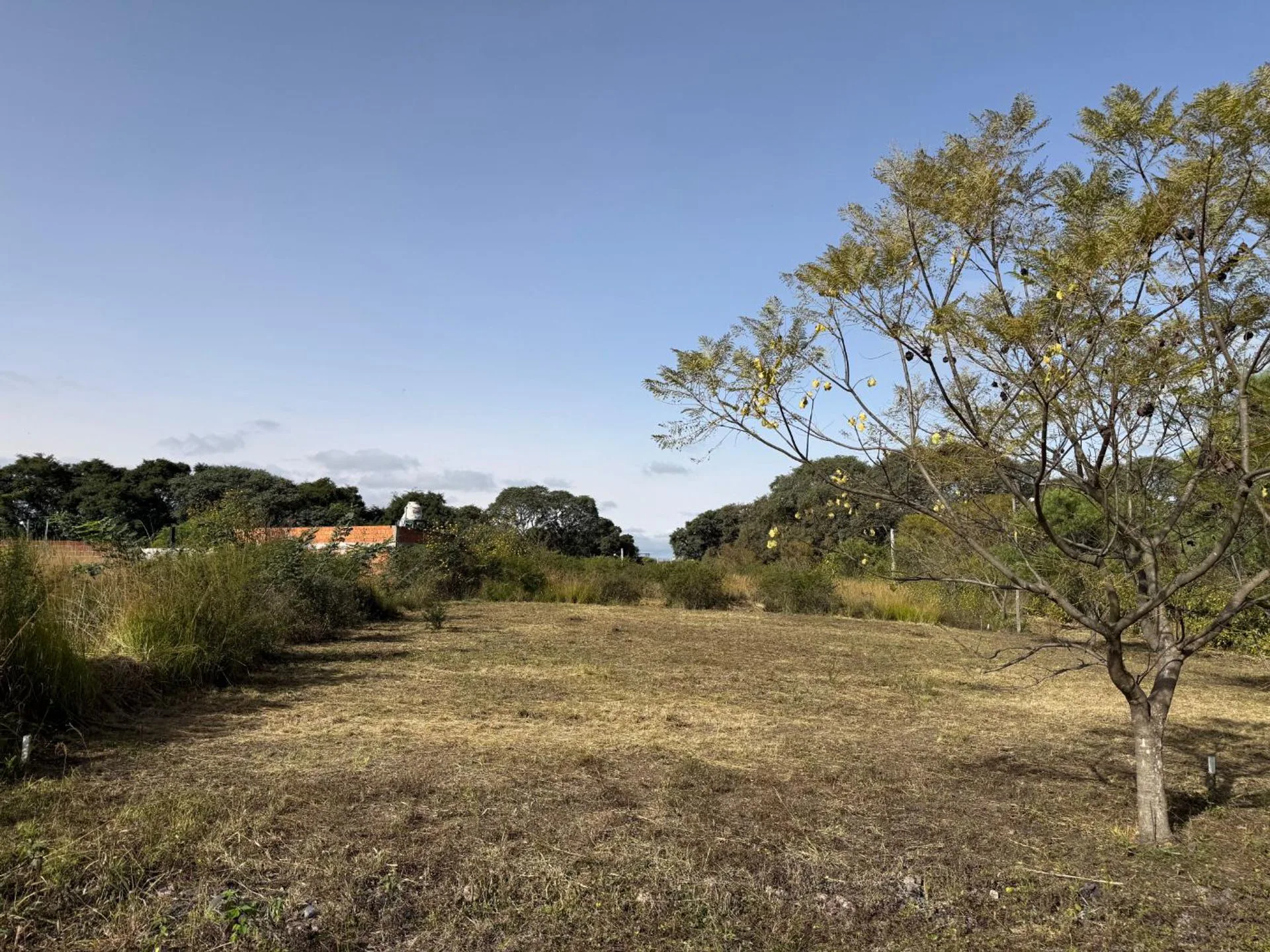 VENTA TERRENO 338,73m2 B° NUEVO ALISOS foto 3