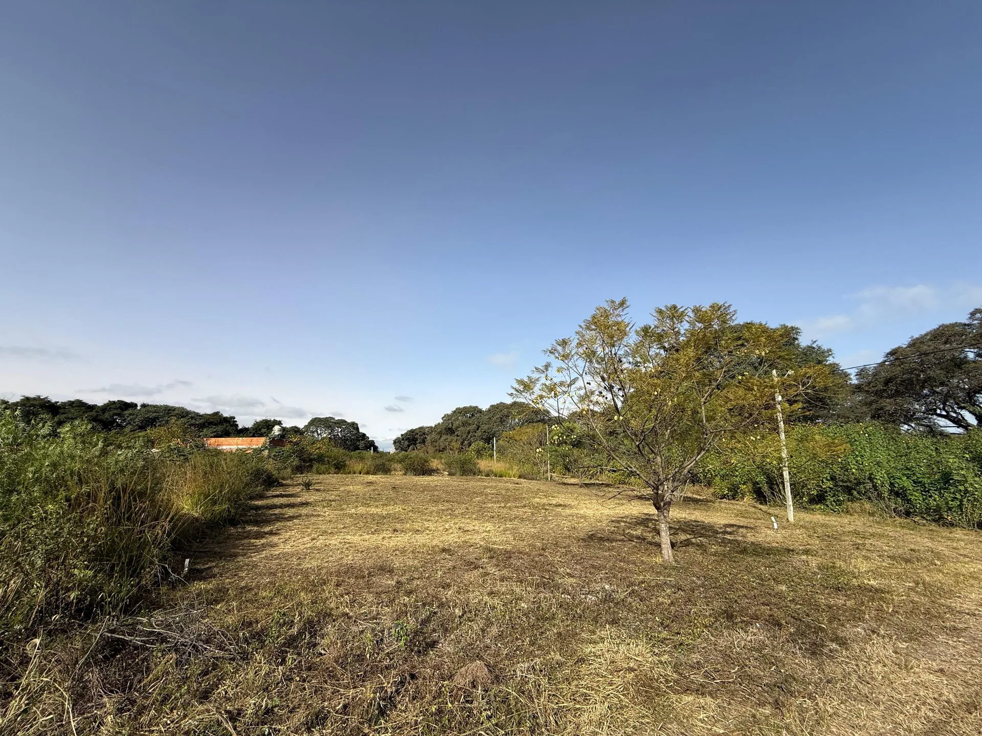 VENTA TERRENO 338,73m2 B° NUEVO ALISOS foto 4