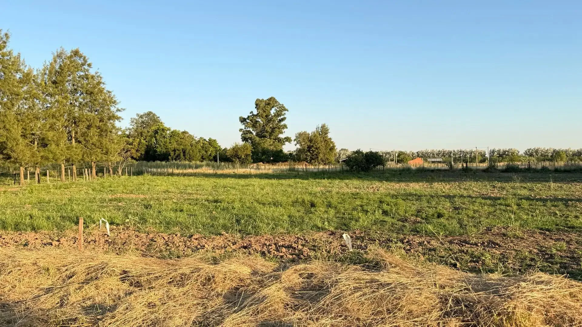 VENTA EXCELENTE LOTE 525M2 ZAPIOLA LOBOS foto 2