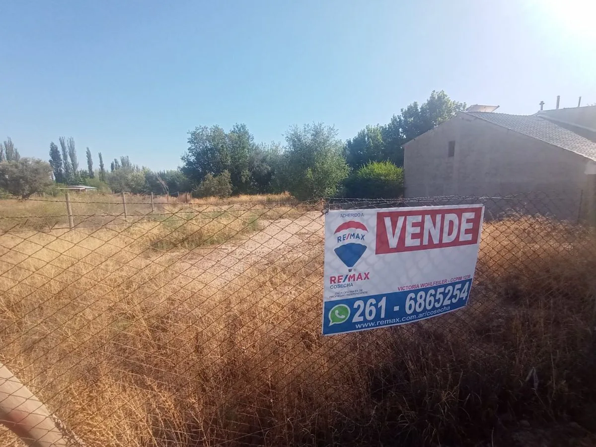 VENDE TERRENO EN CHACRAS DE CORIA LUJAN DE CUYO foto 2