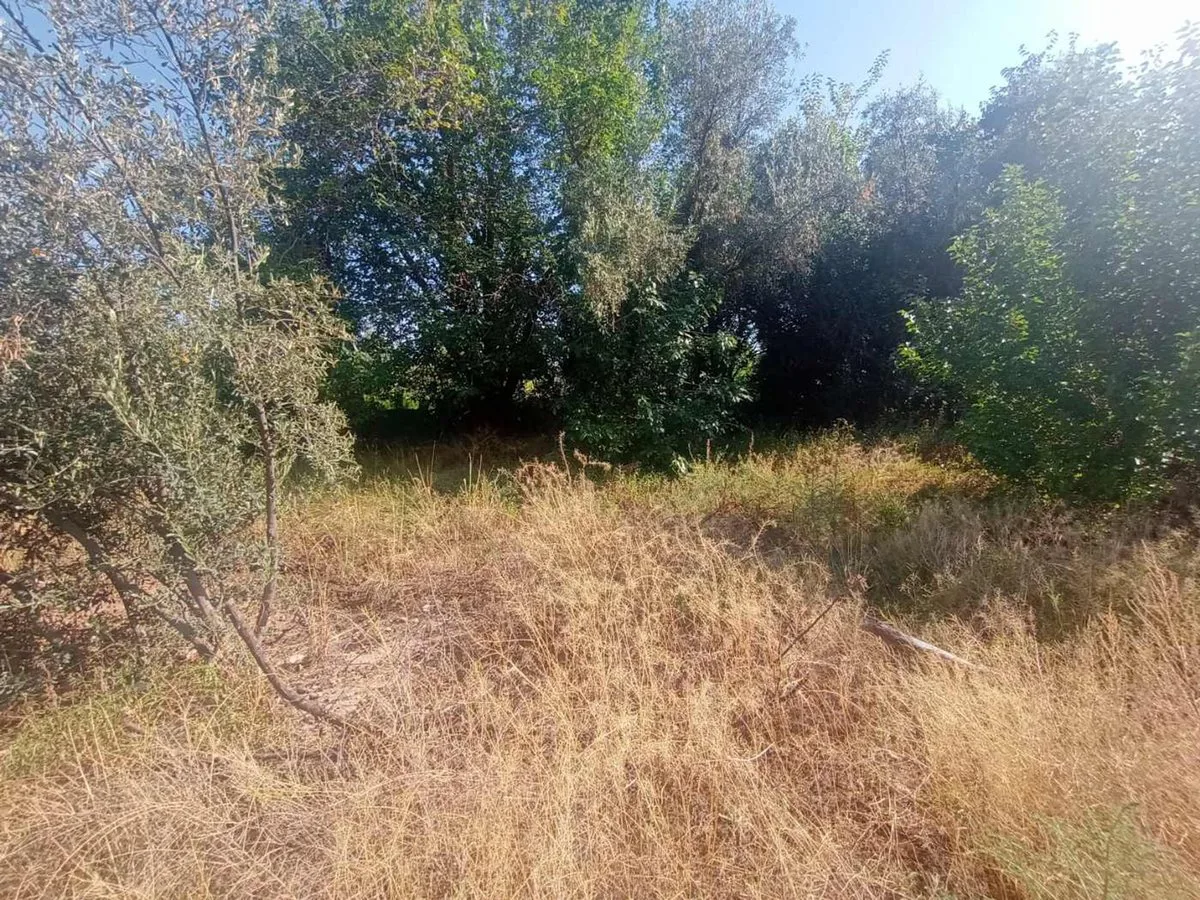 VENDE TERRENO EN CHACRAS DE CORIA LUJAN DE CUYO foto 3
