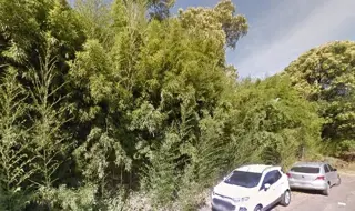EXCELENTES TERRENOS foto 2