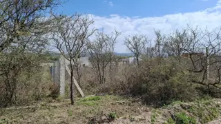 DOS LOTES MONTE Y MANTO foto 1