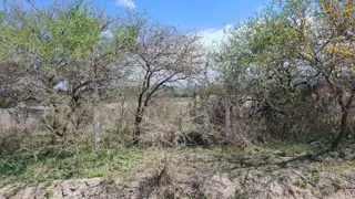 DOS LOTES MONTE Y MANTO foto 5