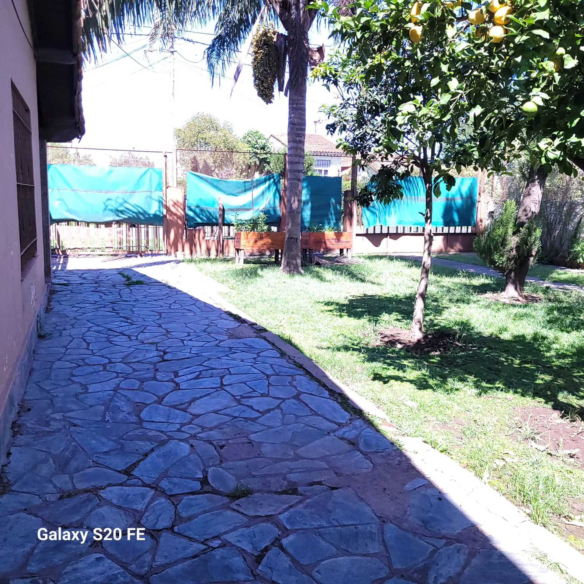 Venta lote ideal inversor 860 mts2. Bajó de Precio foto 5