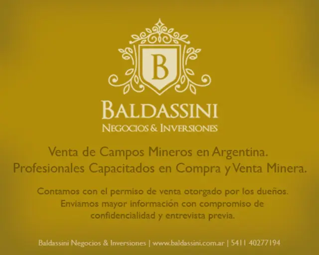 LITHIUM MINE / MINA DE LITIO en Salta, Argentina (256 HAS)
