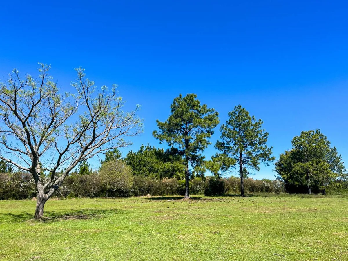 Gran terreno en zona Golf - Concordia foto 3