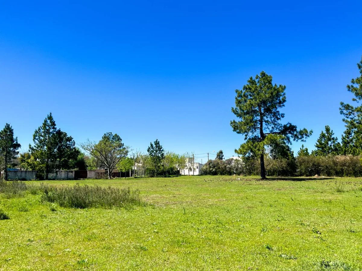 Gran terreno en zona Golf - Concordia foto 4