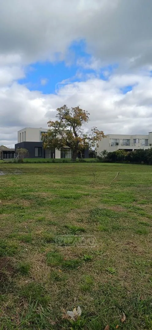 Haras Santa Maria Escobar foto 3