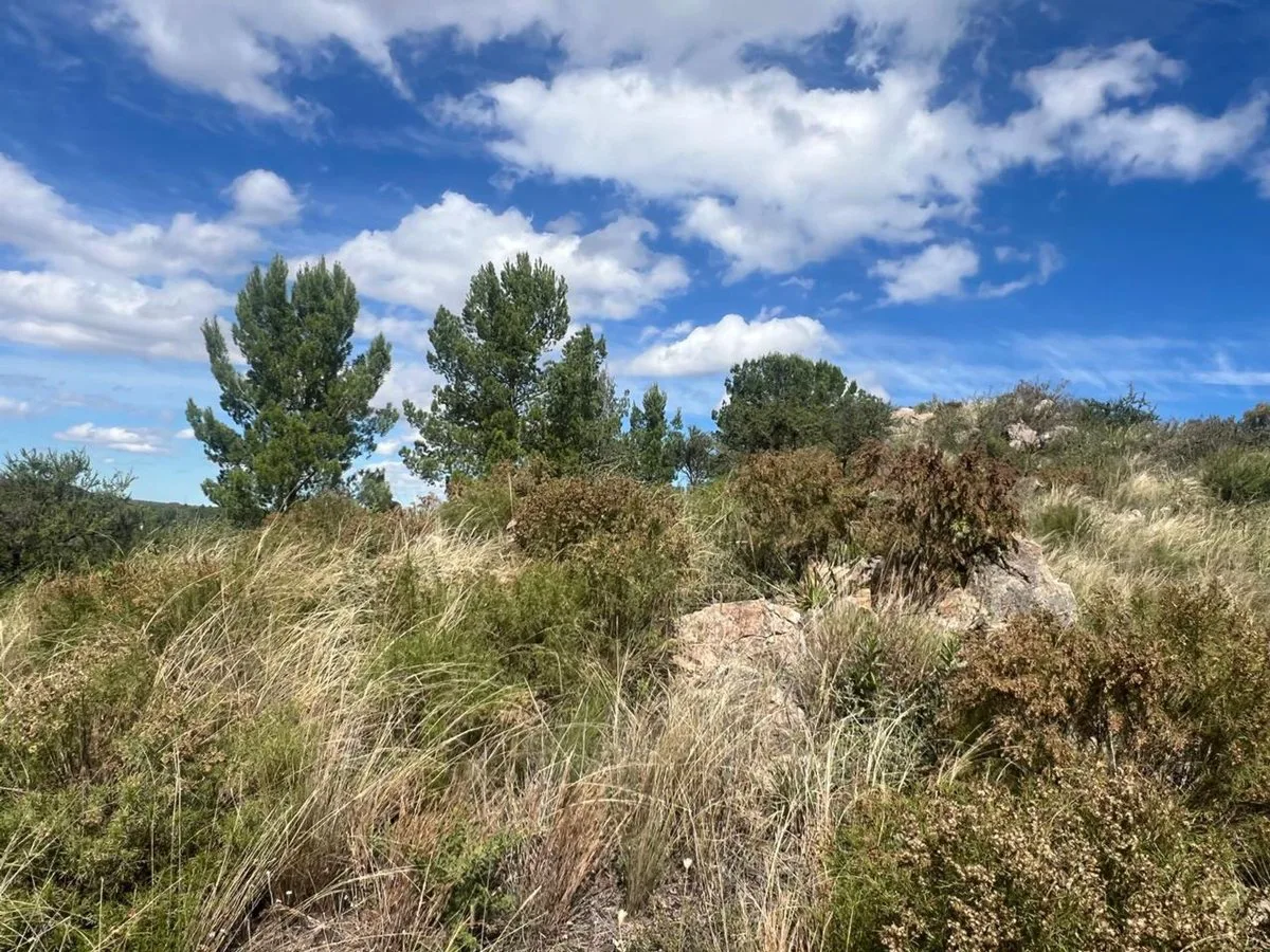 VENTA DE TERRENO EN  ALTURA CAMPO LA SIERRA foto 2