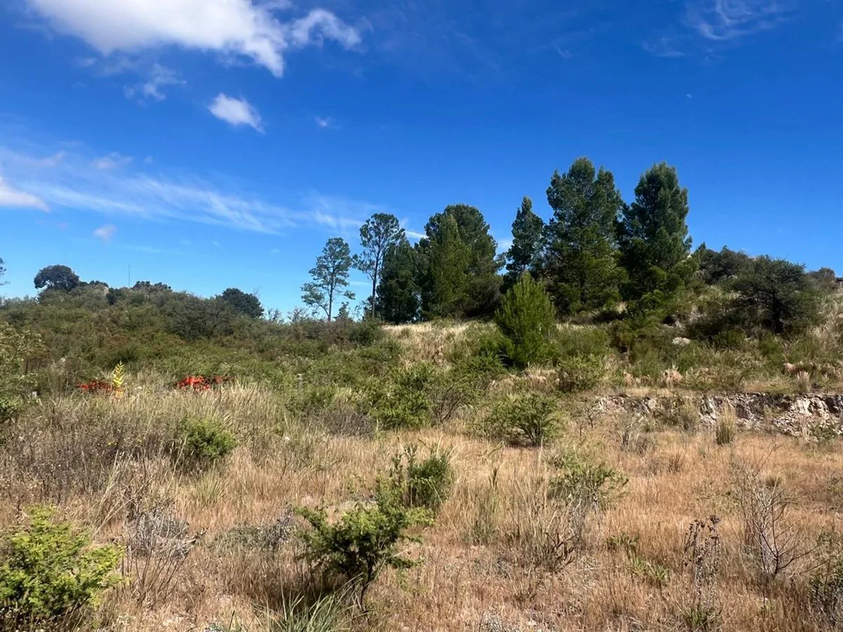VENTA DE TERRENO EN  ALTURA CAMPO LA SIERRA foto 5