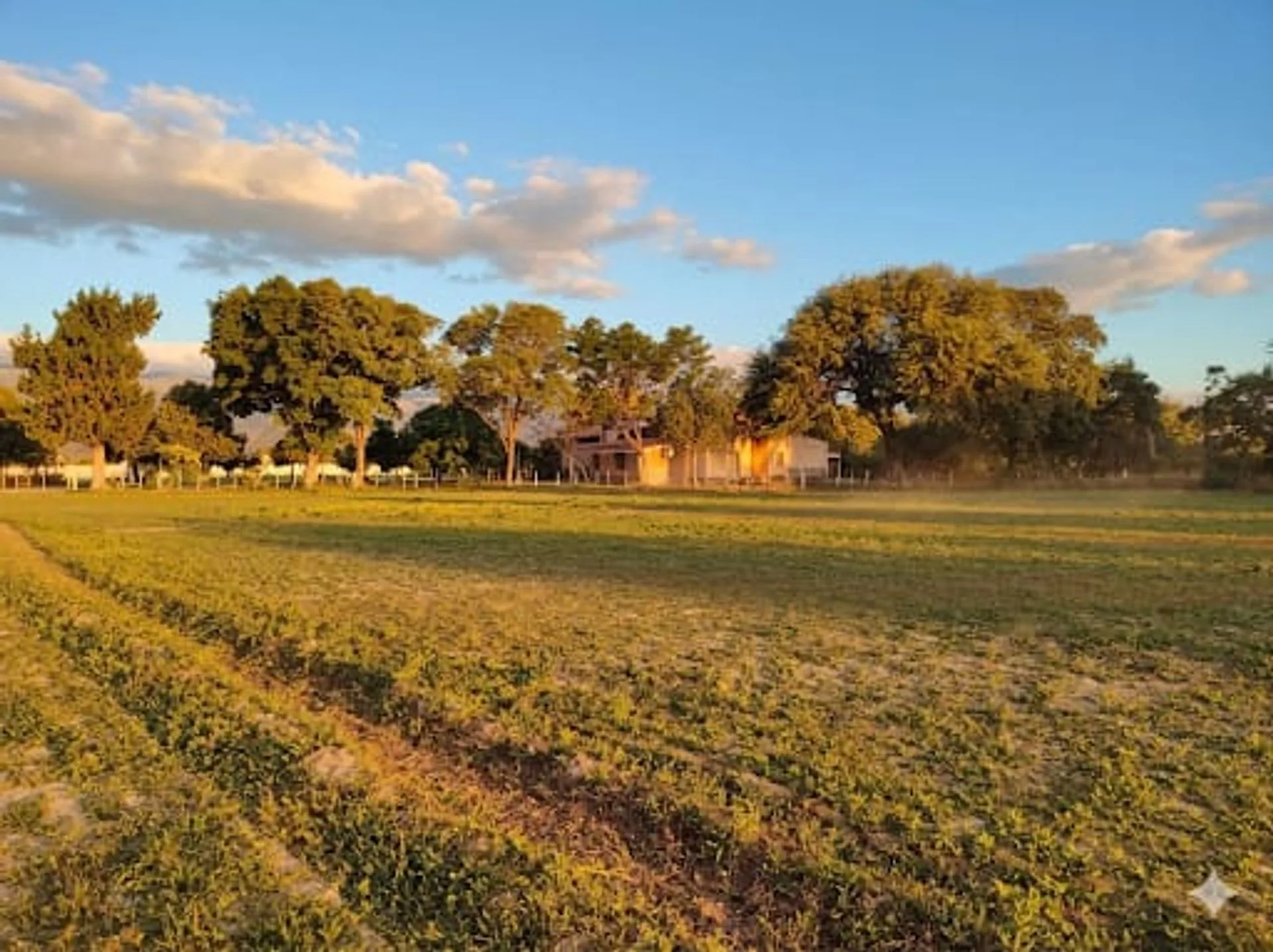 SE VENDE FINCA + CAMPO EN FRAY M. ESQUIÚ CATAMARCA foto 3