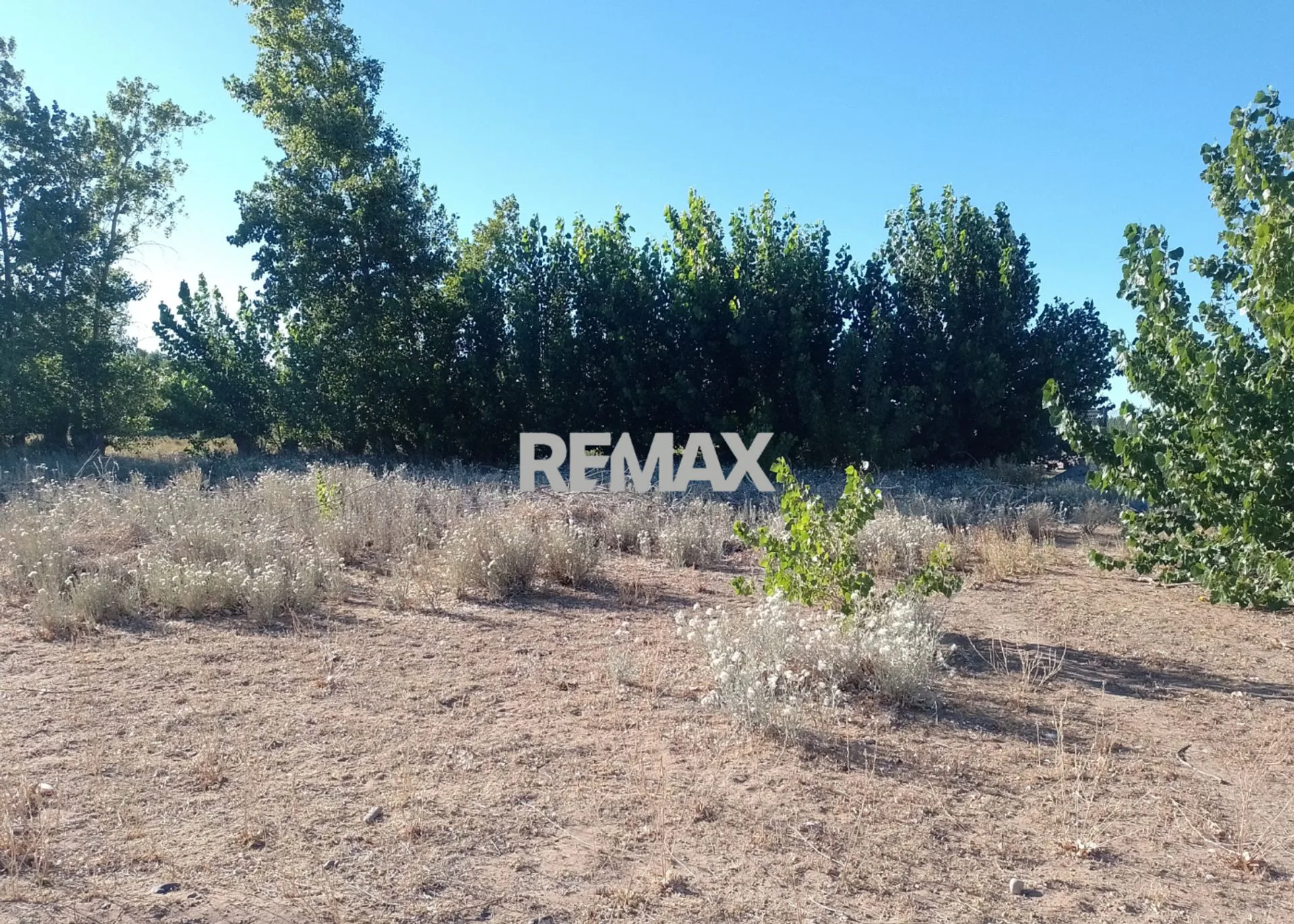 TERRENO EN VENTA- 1700 M2- EL CEIBAL- PLOTTIER foto 2