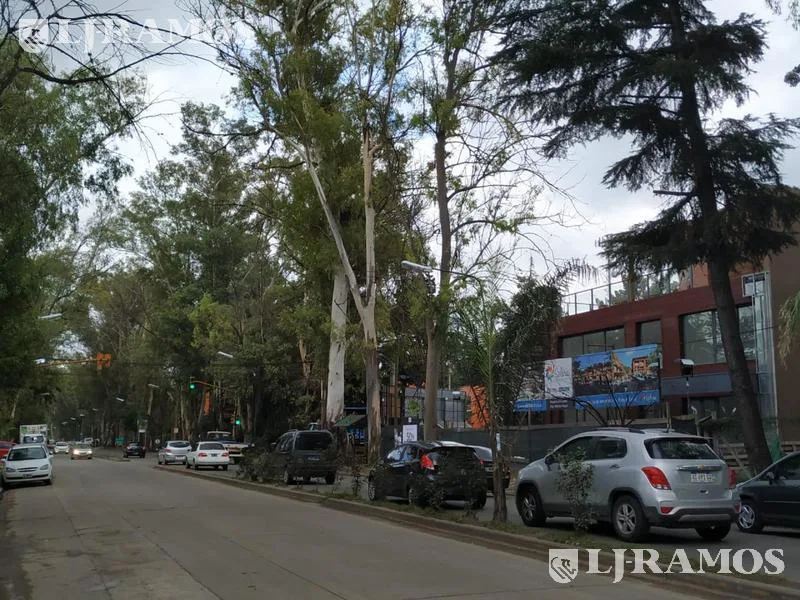 Inmueble Parque Leloir foto 2