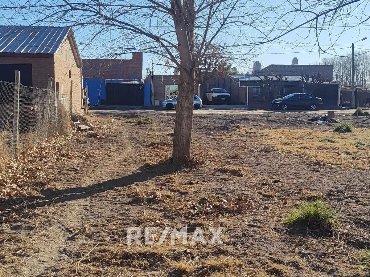 VENTA TERRENO LOTEO ASPA SAN PATRICIO DEL CHAÑAR foto 2
