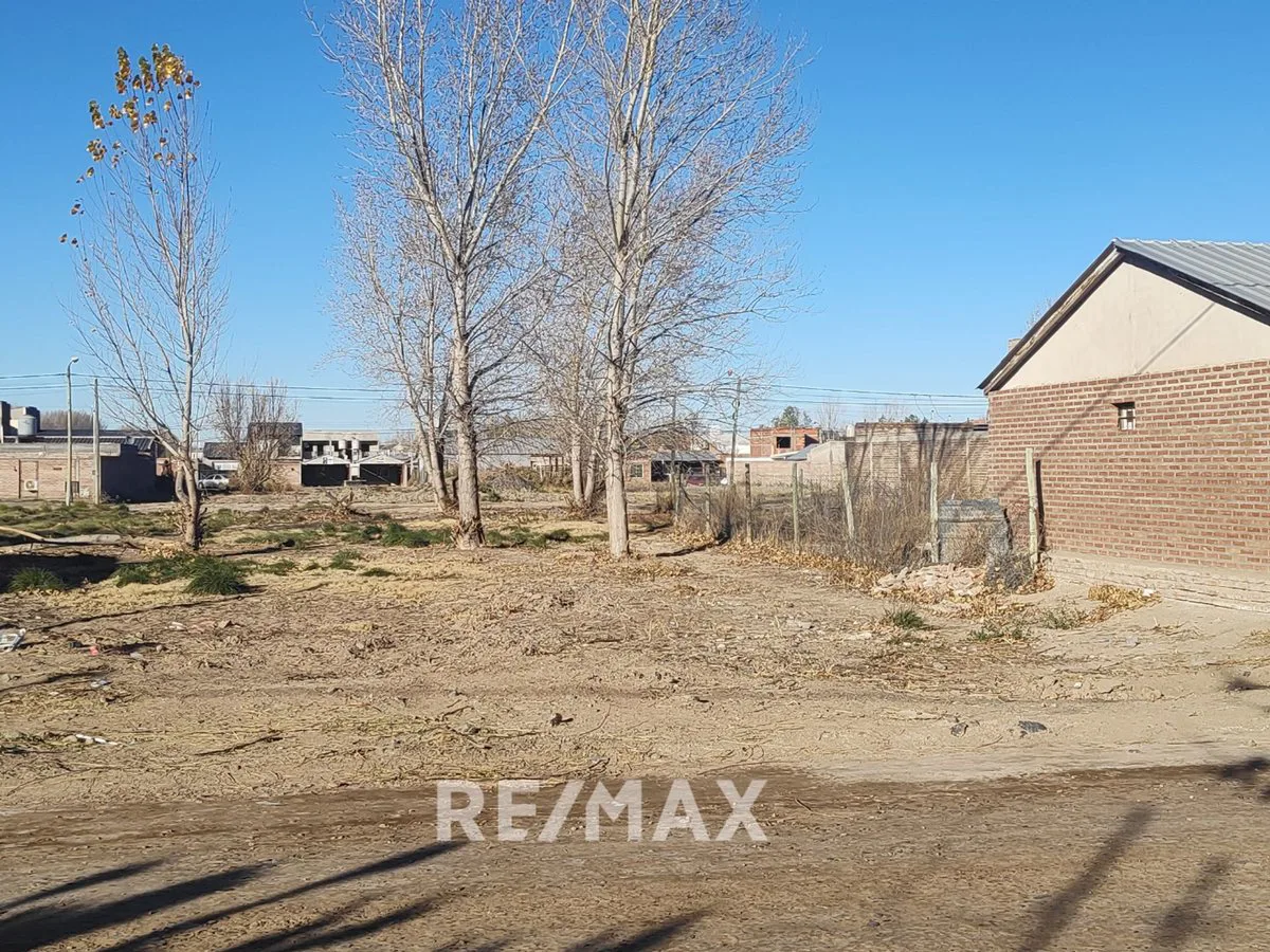 VENTA TERRENO LOTEO ASPA SAN PATRICIO DEL CHAÑAR foto 3
