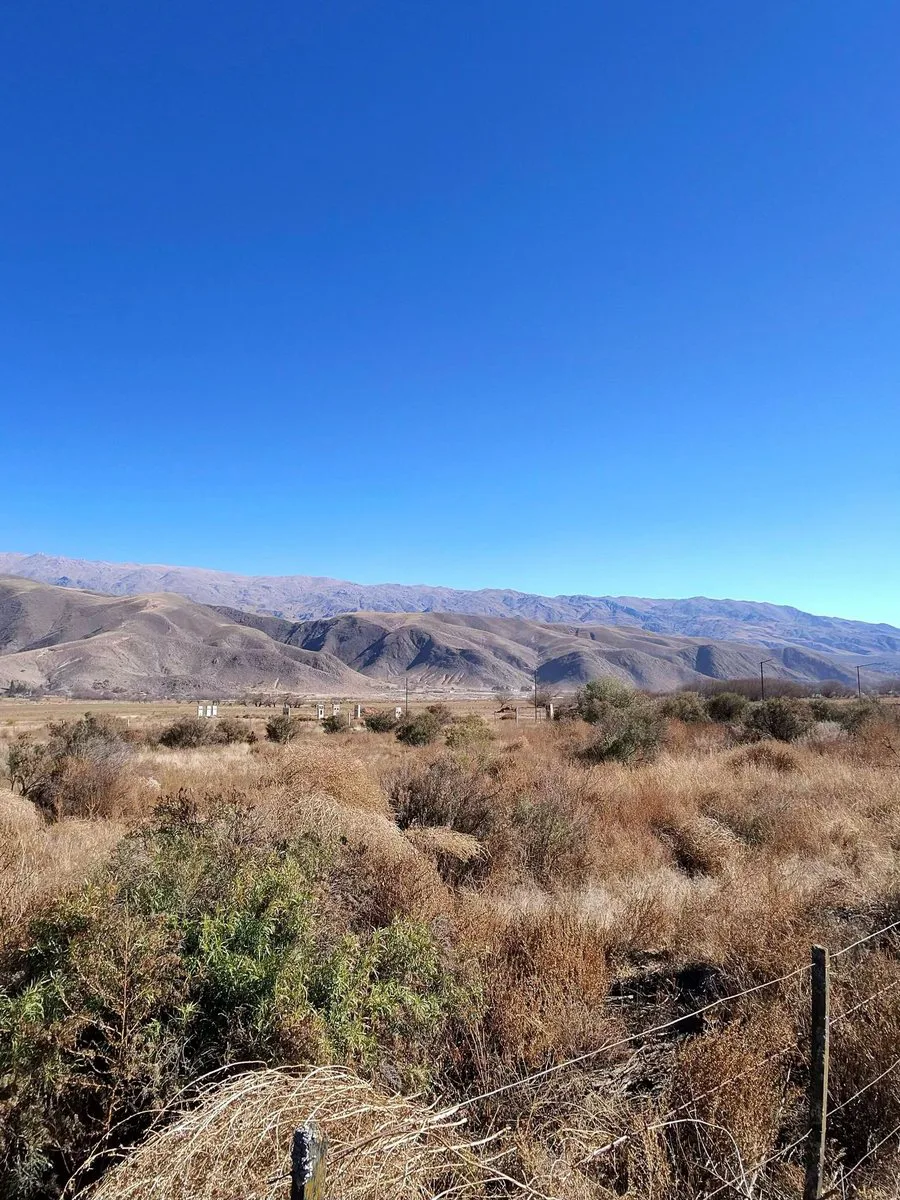 Venta terreno 29.900 m2 sobre Ruta| Tafi del valle foto 5