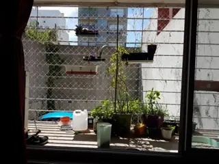 Imperdible Departamento- SAAVEDRA foto 4