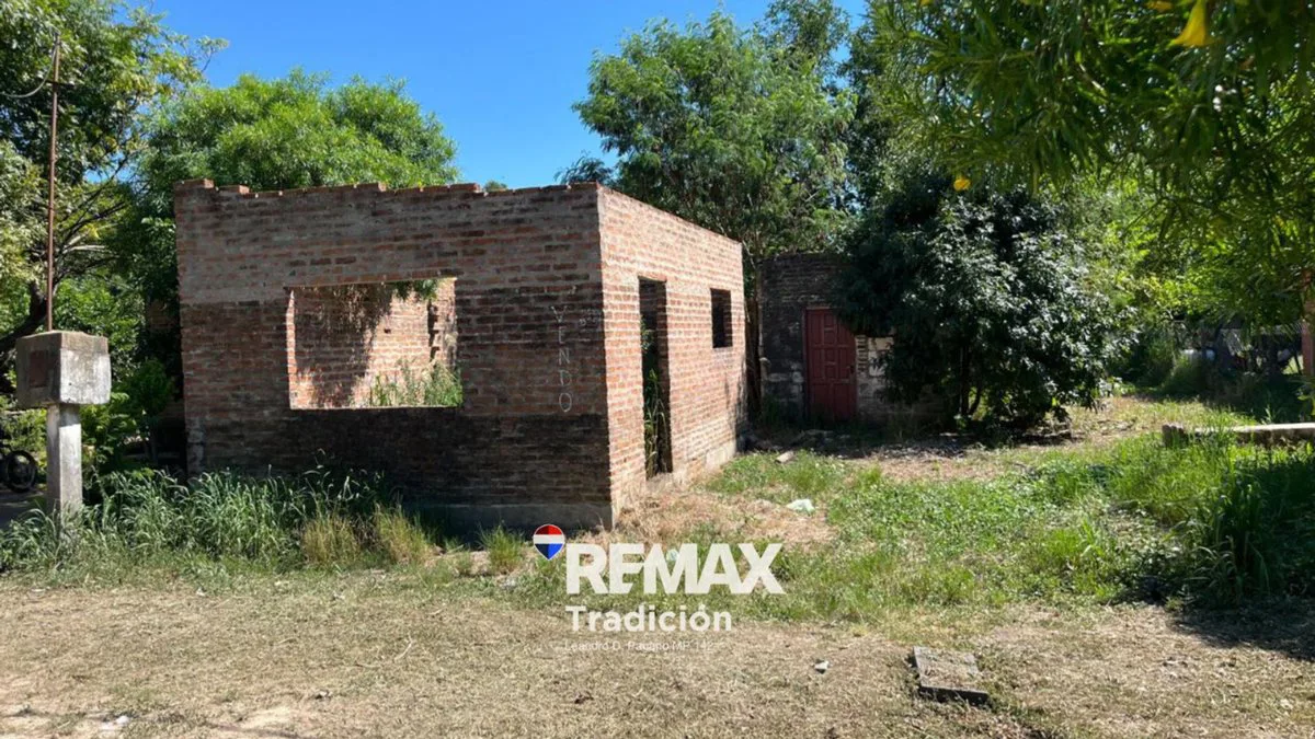 VENTA TERRENO CON MEJORAS  S/ASFALTO-LA EDUVIGES foto 3