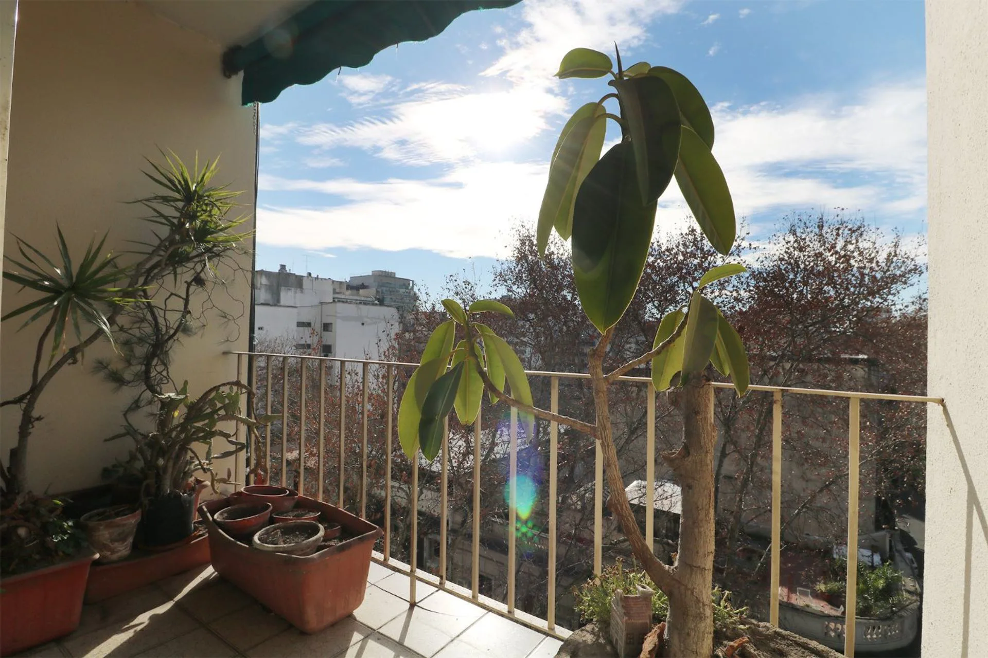 VENTA DEPARTAMENTO 4 AMB C/TOILETTE Y BALCÓN foto 5