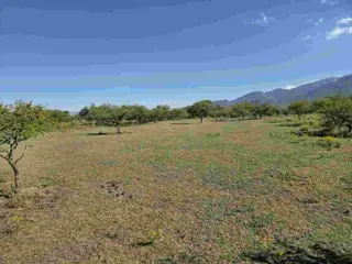 Venta Terreno 2600m2 La Toma - San Antonio foto 2