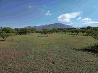 Venta Terreno 2600m2 La Toma - San Antonio foto 4
