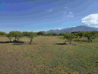 Venta Terreno 2600m2 La Toma - San Antonio foto 5