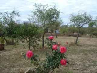 Terreno en Venta en Villa la Bolsa, Santa María, Córdoba foto 3