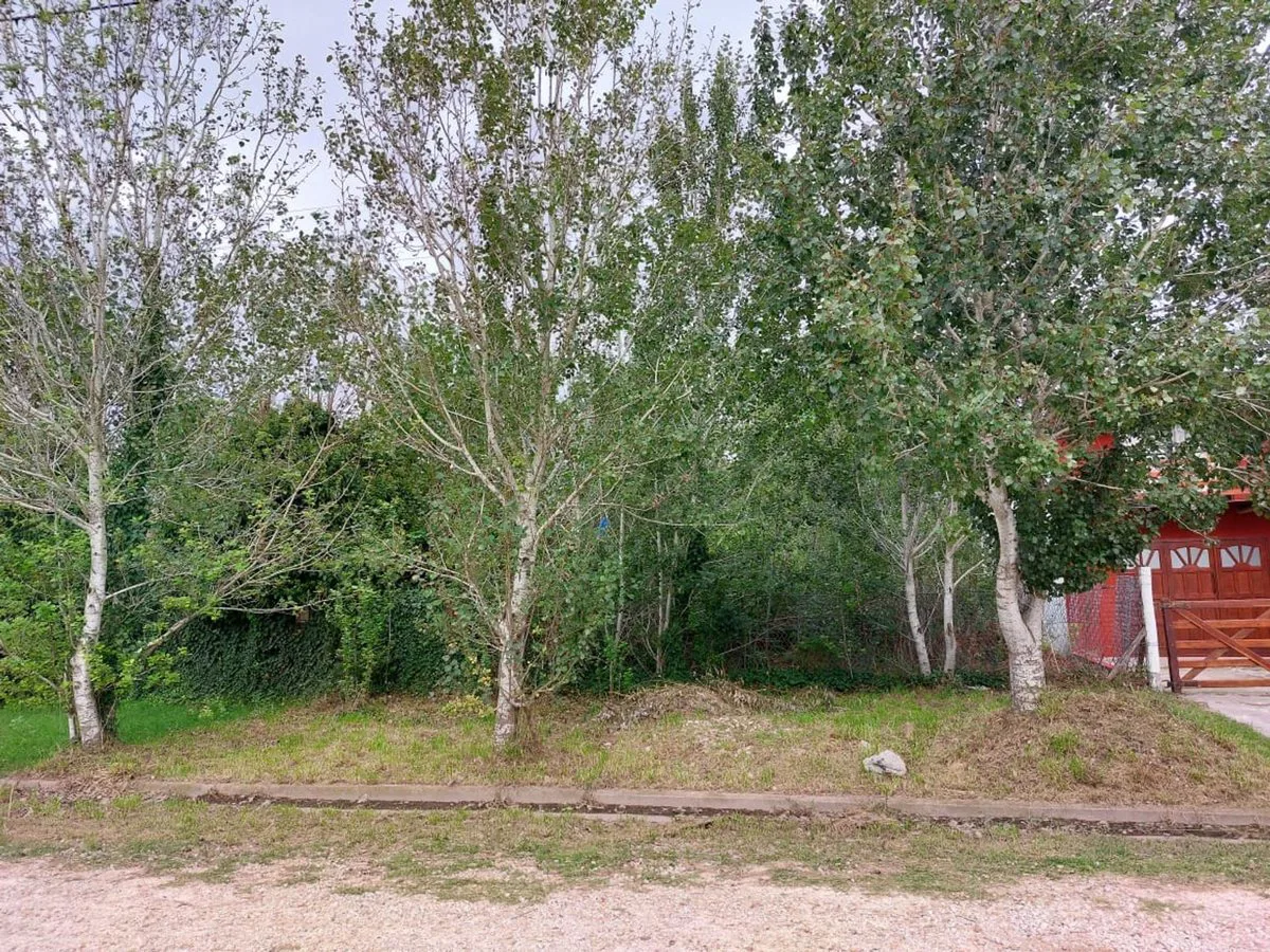 Lote en Barrio Hipodrómo foto 2