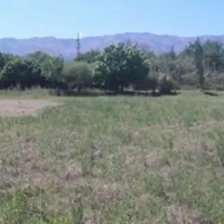 Hermoso Terreno en Villa de las Rosas, Traslasierra foto 3