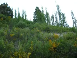 Terreno en Venta en San Martín de los Andes, Lacar, Neuquén foto 3