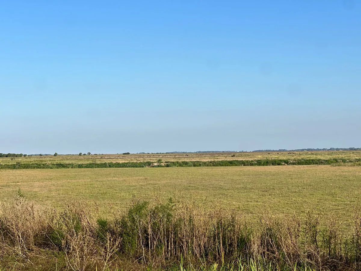 Venta de Lote en Berisso foto 2