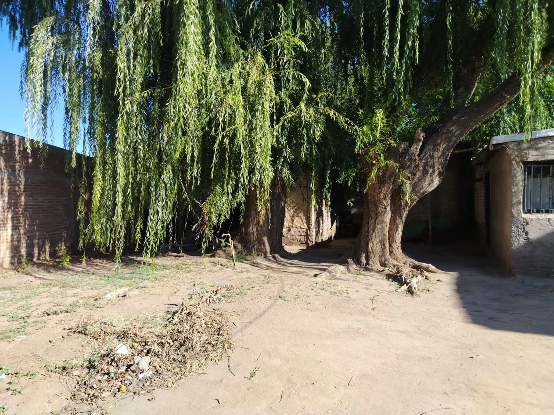VENDO TERRENO CON CASA A RECICLAR foto 5