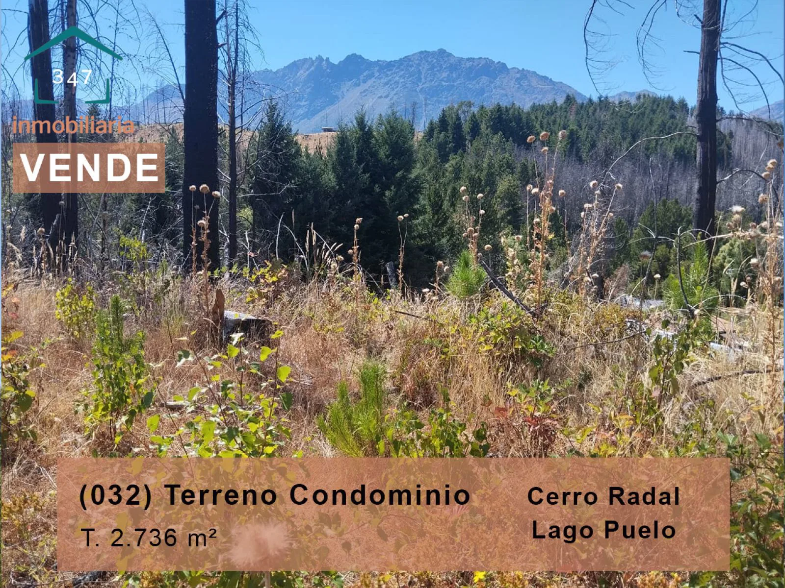 LAGO PUELO (Radal) Terreno en condominio de 2.736mts