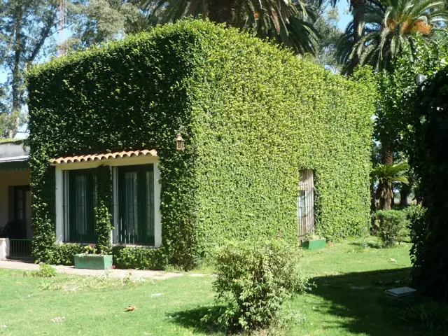 Fracción de 6 has. de  campo con vivienda