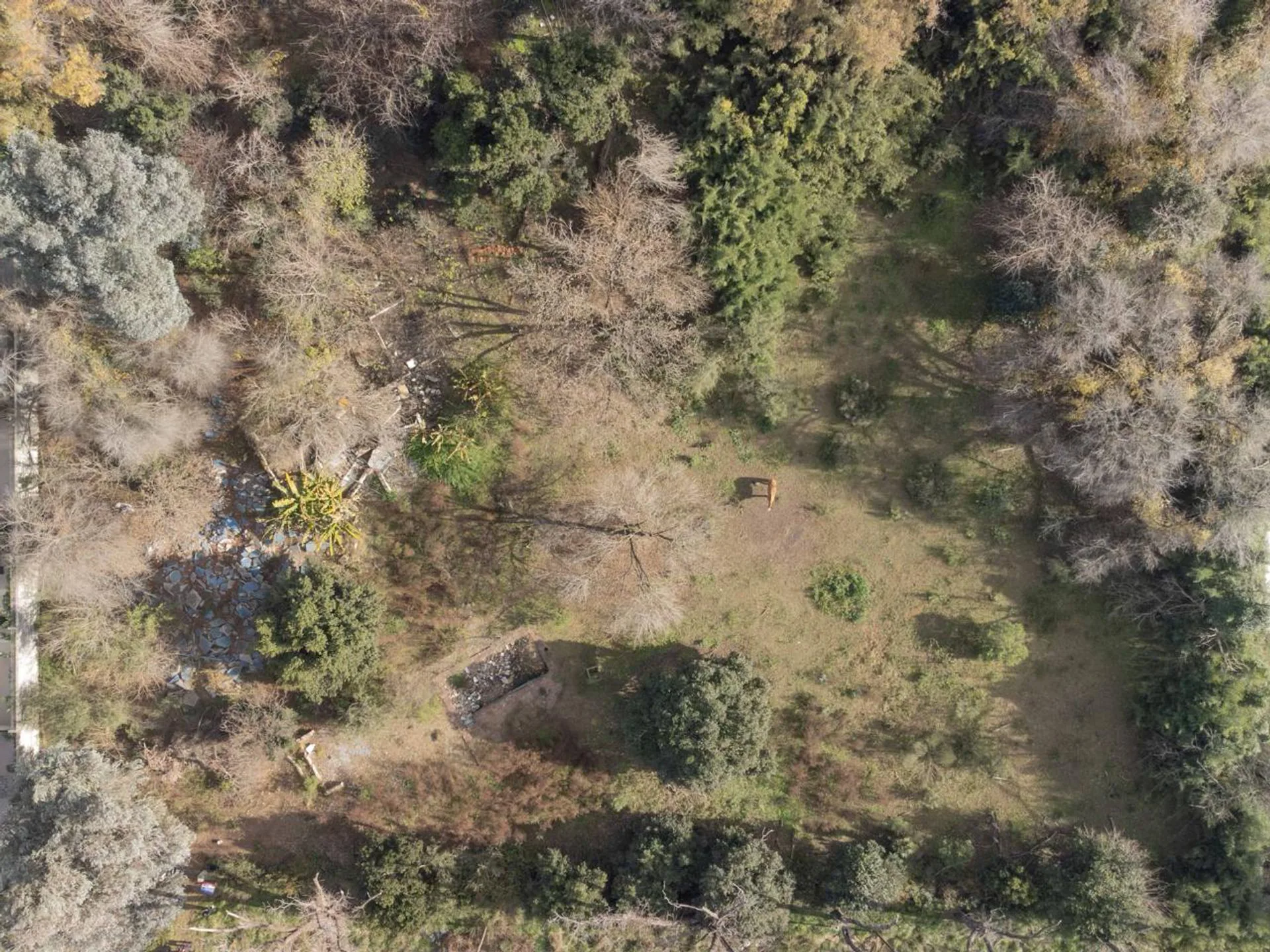 Extraordinario Lote de 7.140 m2 en Del Viso foto 3