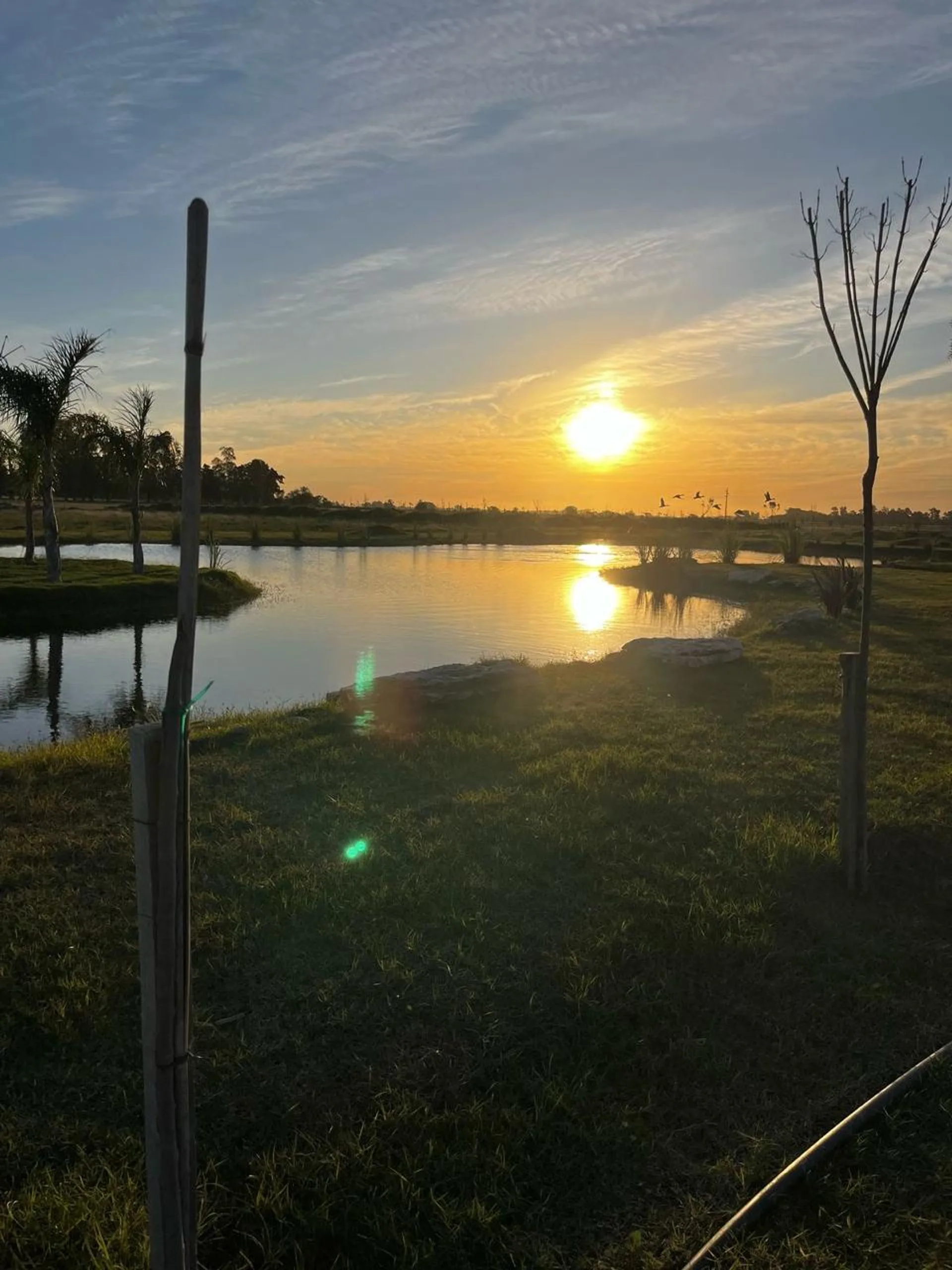 Lote en venta en Haras Andrea Virginia, Plomer foto 5