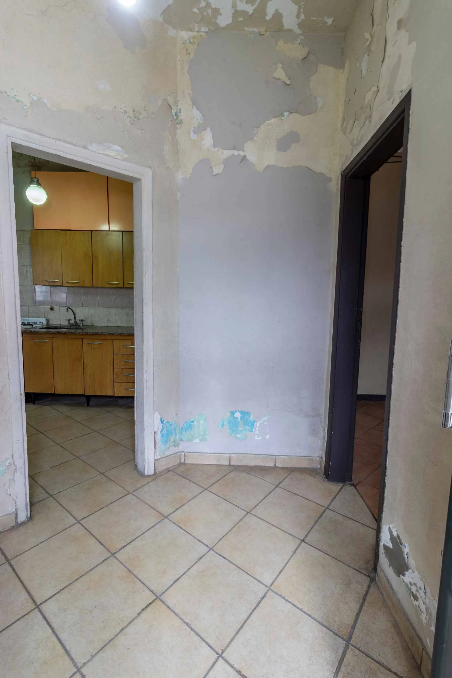 VENTA CASA PH 2 AMB ITUZAINGO CON LOCAL Y COCHERA foto 5