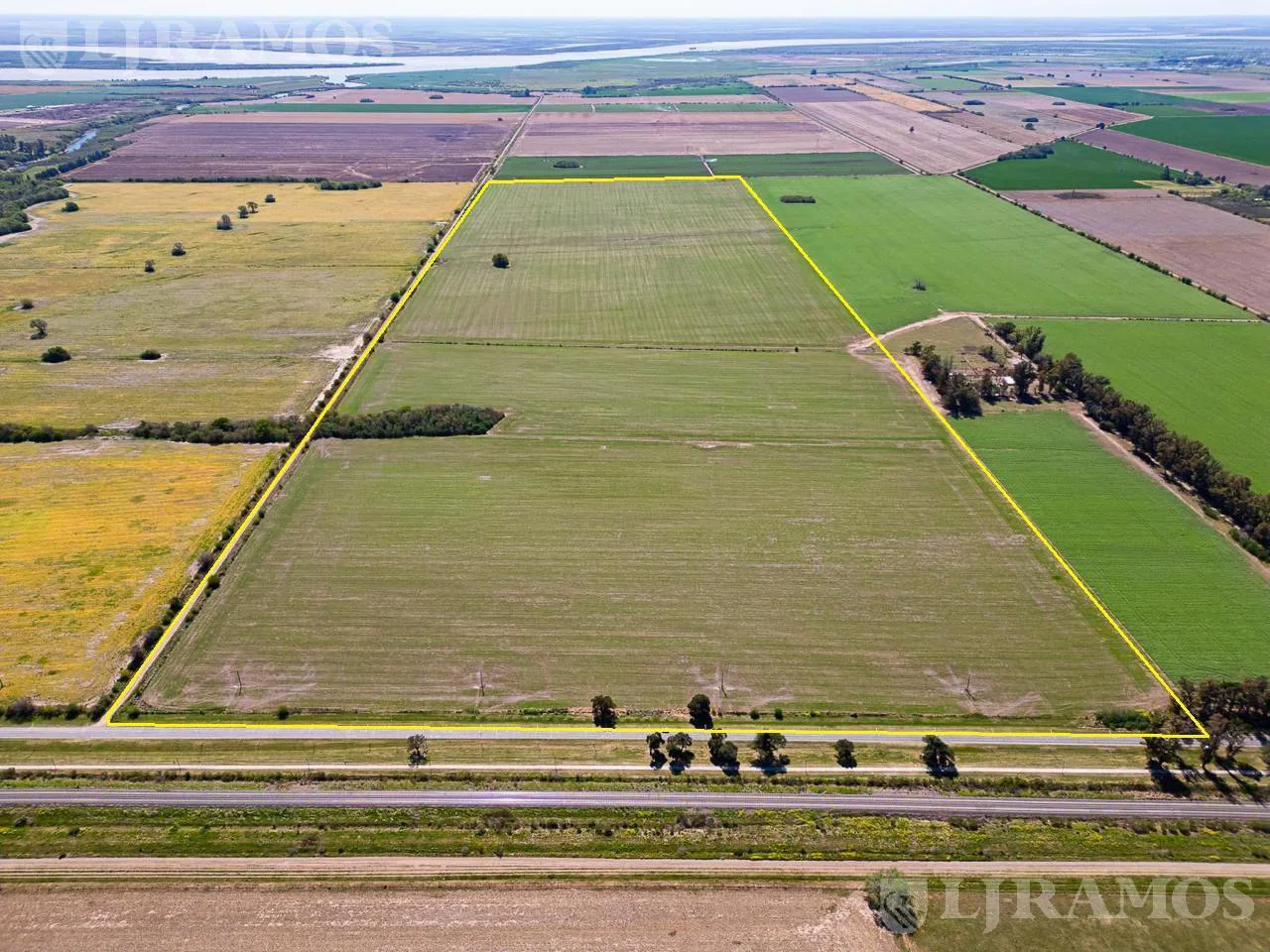 90 ha agrícolas sobre ruta. Pavón, Dto. Constitución, Santa Fe. foto 2