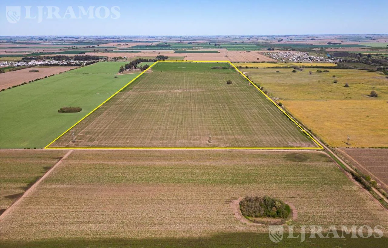 90 ha agrícolas sobre ruta. Pavón, Dto. Constitución, Santa Fe. foto 3