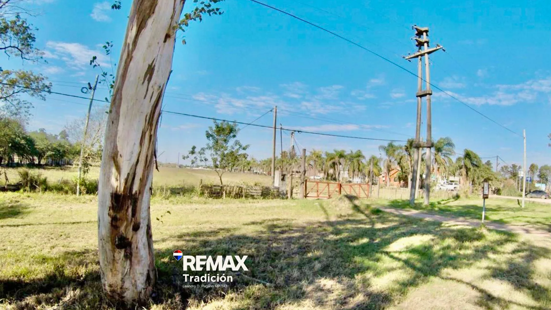 ALQUILER TERRENO 7HA SOBRE RUTA NAC CHARATA CHACO foto 4
