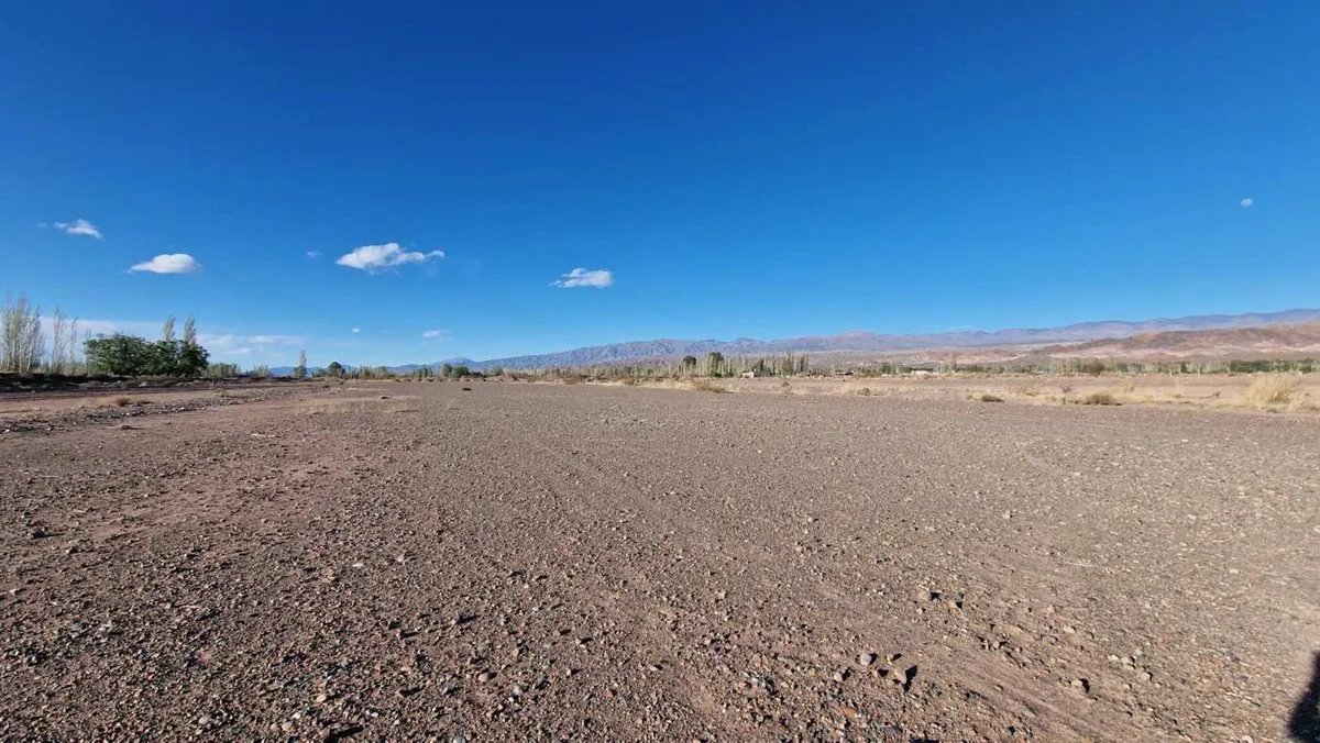FINCA 8,26 HA APTO DESARROLLO INMOBILIARIO BARREAL foto 4
