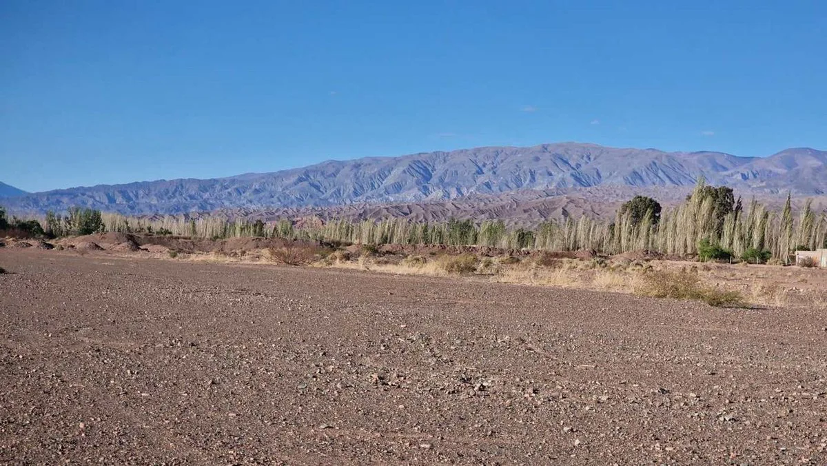 FINCA 8,26 HA APTO DESARROLLO INMOBILIARIO BARREAL foto 5